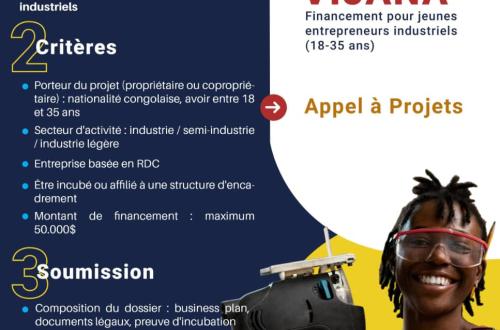 FPI et FOGEC lancent le projet "initiative VIJANA" , un tremplin pour l'entrepreneuriat des Jeunes Congolais