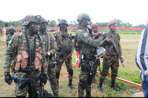 Une attaque évitée de justesse (FARDC)
