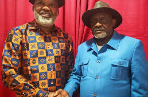 Kinshasa suspend les partis politiques de Frank Diongo, Corneille Nangaa et Thomas Lubanga
