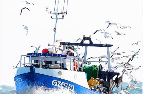 Le gouvernement annonce l'arrivée de huit bateaux de pêche en provenance d'Égypte