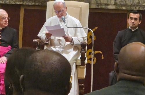 Le Pape Léon XIV renouvelle son appel à la paix en RDC lors d’une audience spéciale