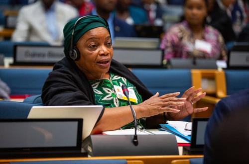 Deux victoires pour la RDC à la 20ᵉ Conférence ministérielle africaine sur l’environnement