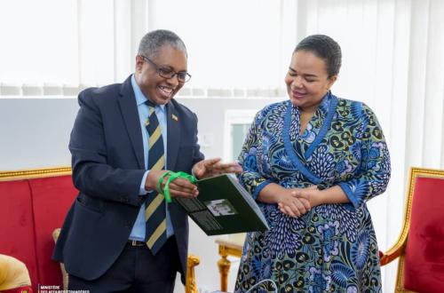 La RDC et l'Éthiopie renforcent leur partenariat autour du barrage Renaissance, du climat et du transport aérien