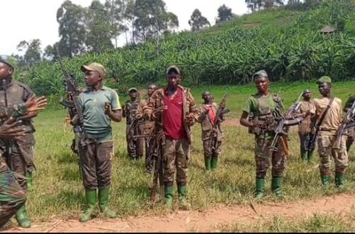 Nord-Kivu : reprise des combats entre le M23 et les Wazalendo malgré l’accord de Doha