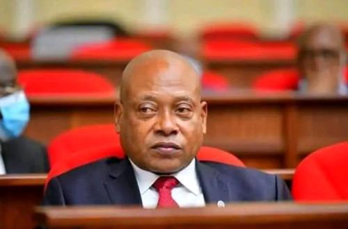 Steve Mbikayi : “Le président me calcule, mais son entourage bloque ma nomination”