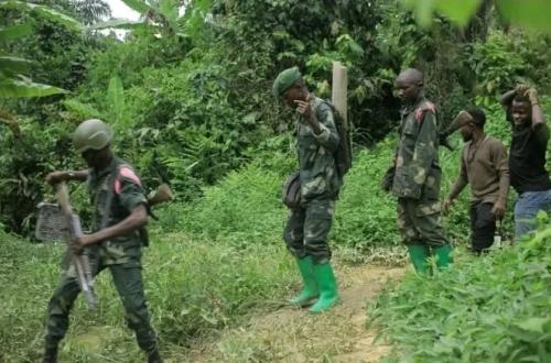 Ituri : trois miliciens CODECO abattus lors d’une attaque avortée à Djugu