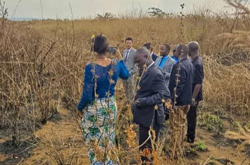 Kongo-Central : bientôt des foires modernes à Matadi et Muanda