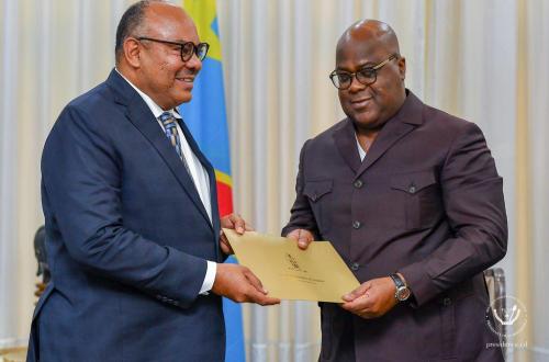 Guerre dans l’Est : la Tanzanie réitère son soutien pour la stabilité et l’intégration régionale de la RDC