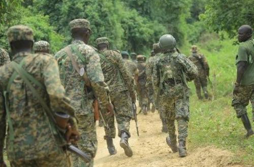 Opération Shujaa : l’armée ougandaise dément des tueries à Komanda-Eringeti