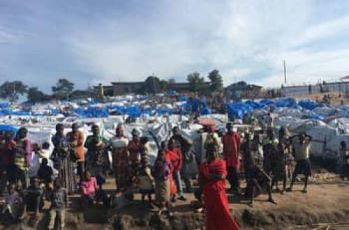 Ituri : violences à Djugu et Irumu, plus de 800 000 déplacés enregistrés fin août (OCHA)