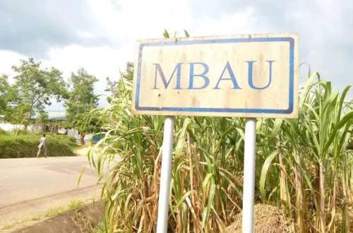 Nord-Kivu : des civils tués dans la forêt Ouest de Mbau en territoire de Beni dans une attaque attribuée à l'ADF