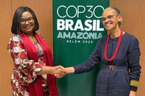 Le Brésil et la RDC veulent coaliser pour épargner le monde du changement climatique