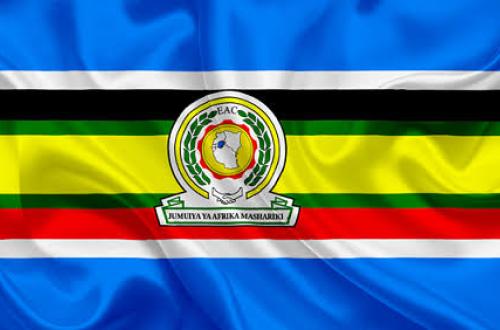 Tanzanie : le gouvernement fédéral d’Afrique de l’Est appelle au calme et au respect du couvre-feu