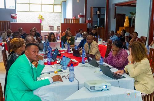 RDC : lancement du Portail d’Informations Commerciales pour renforcer l’intégration au commerce international