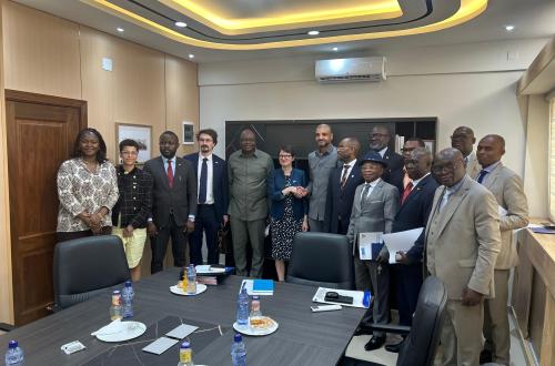 RDC/Royaume-Uni : des concertations engagées en vue d'une solution commune pour le retour des ressortissants Congolais en situation irrégulière