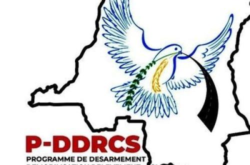 Nord-Kivu : crise ouverte au P-DDRCS, des agents suspendus après trois mois de grève