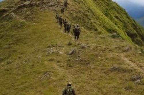 RDC : l’ONG "Dignité Humaine Organisation" dénonce un bilan de 199 civils tués au Sud-Kivu en décembre