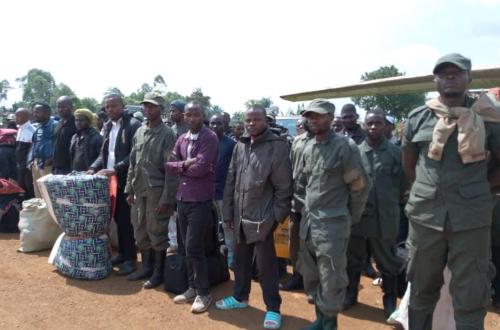RDC : reddition massive de plus de 300 rebelles du M23/AFC aux FARDC au Nord et Sud-Kivu