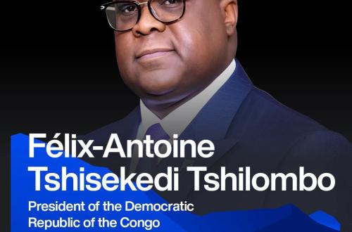 Davos : la RDC au cœur des discussions sur le partenariat stratégique minier pour attirer des investissements