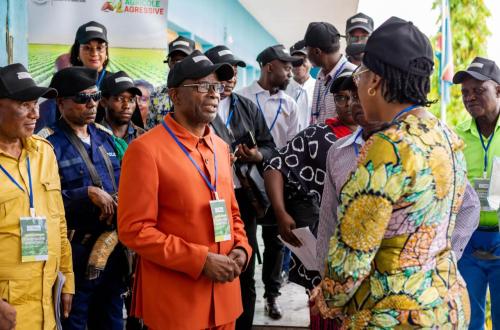 RDC : déploiement à Kwango des équipes du Ministère de l’agriculture dans les cinq territoires de la province pour la revanche du sol sur le sous-sol et la relance du secteur agricole