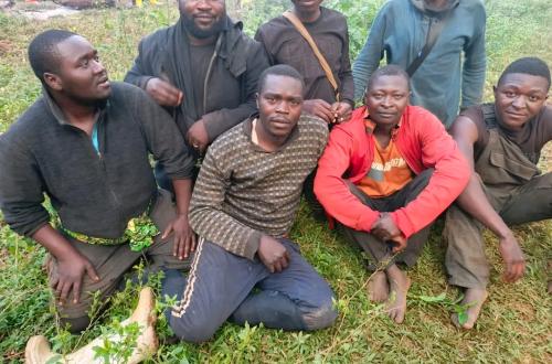 Haut-Uélé : pris en otages par les ADF, plus de 100 civils sauvés par les FARDC