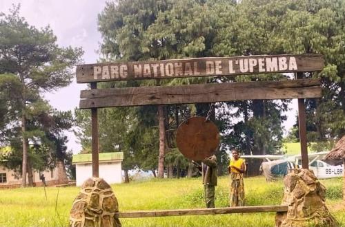 RDC : 5 agents tués dans une attaque contre le Parc National de l'Upemba (ICCN)
