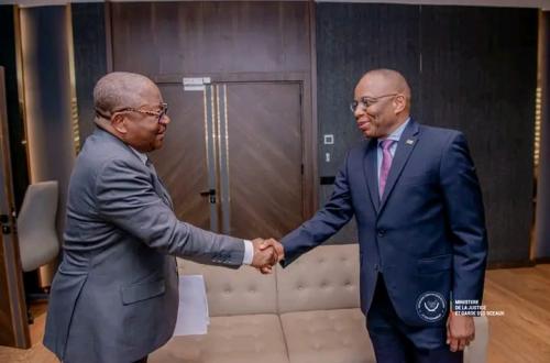 Genève : Guillaume Ngefa et Paul Nsapu Mukulu s’allient pour la protection des droits humains en RDC