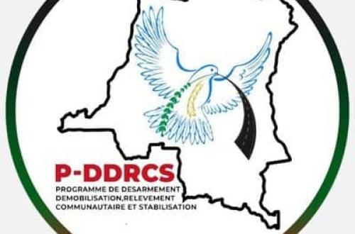 Sud-Kivu : le P-DRRCS retire 33 enfants des groupes armés à Uvira