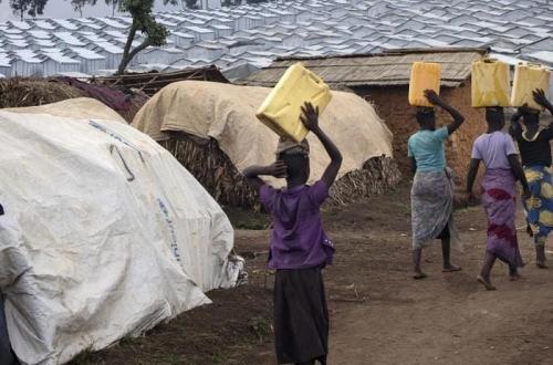 Ituri : alerte humanitaire à Pleine Savo « Jusqu’à sept morts par jour », dénonce un responsable du site