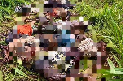 Mambasa : 17 corps sans vie découverts à Kidini, l’ONG « Protection Plus » dénonce le retard d’inhumation