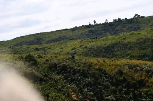 Nord-Kivu : des hommes armés non identifiés signalés à Walikale, la population vit dans la peur