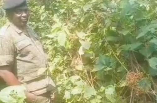 Uvira : découverte de 15 fosses communes et 5 tombes, la justice militaire annonce des mandats d’arrêt