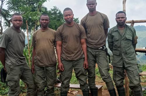 Nord-Kivu : cinq combattants du M23 déposent les armes et se rendent à Lubero