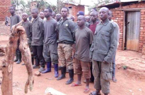 Fizi : 17 combattants du M23 se rendent et un capturé par les FARDC à Abala, Nyaruhinga et Kabanja