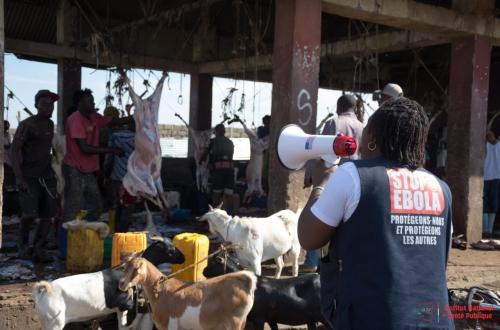 Bunia : l'INSP déploie l'approche « Une Santé » contre Ebola à l'abattoir