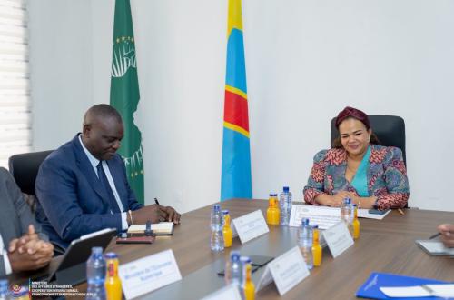 RDC : vers une mise en place d’une plateforme de gestion du visa électronique
