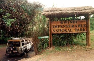 Ouganda : Comment huit autres touristes sont morts lors du massacre de Bwindi en 1999 ?