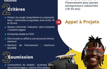FPI et FOGEC lancent le projet "initiative VIJANA" , un tremplin pour l'entrepreneuriat des Jeunes Congolais