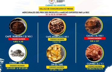 Commerce extérieur : le prix du cacao Congolais chute à l’exportation