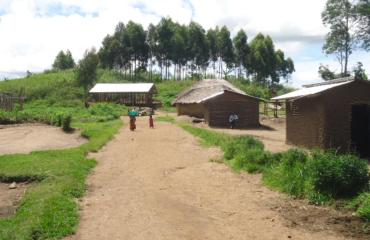 Ituri : 14 CRP neutralisés par l'armée à Djugu