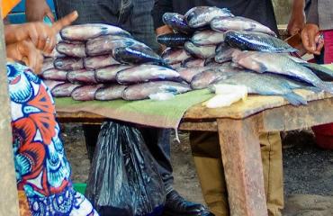 Beni : les mesures de contrôle contre Ebola provoquent une flambée des prix des produits importés d’Ouganda