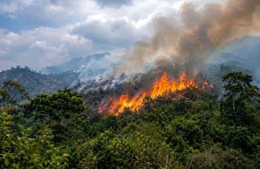 le Parc National de Kahuzi-Biega en feu depuis deux jours