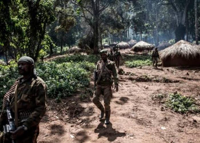 <p>Les militaires des Forces Armées de la République Démocratique du Congo en pleine patrouille. Illustration.</p>
