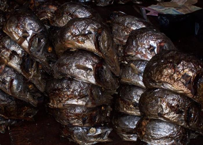 <p>Les poissons Mukeke qu’on ne retrouve que dans le lac Tanganyika</p>

