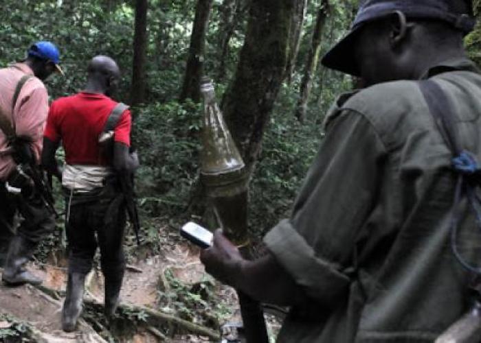 <p>Les éléments ADF sont en mouvement dans la profondeur des forêts de Mambasa alerte CODEPEF</p>
