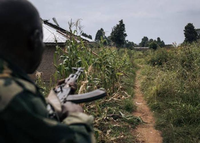 Ituri : Les combattants de la CODECO poursuivent leur série de tueries, au grand dam de la société civile