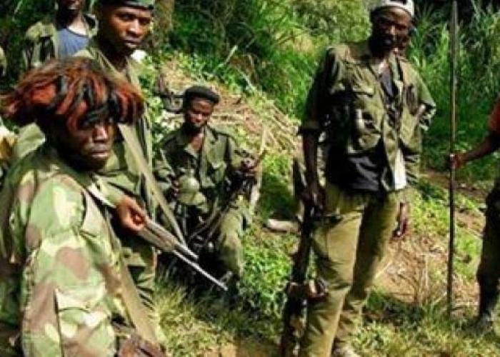 Beni : Un homme blessé grièvement par arme blanche lors du passage des combattants présumés ADF dans le Ruwenzori