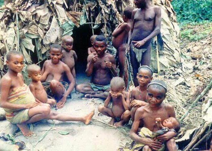 Ituri : Des pygmées cités dans le vol des produits champêtres à Babila-Babombi