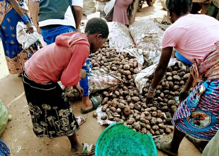 Bunia : des femmes vendeuses de pommes de terre dans un désespoir