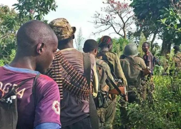 Beni : un combattant ADF neutralisé et un autre capturé à Mavivi-Ngite